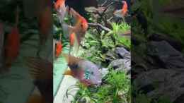 Video Stand 10.2020 - Video 1 von Michinet (xYVQO4LiHZU)