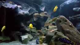 Video Malawi-Delta von wadde (xZoFa2p5zTQ)