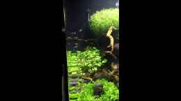 Video Video von Einrichtungsbeispiele.de von Mike St. (xxijz1XVFD0)