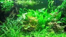 Video Gesamtsicht Sep.2013 von Rheinländer (yKP6ri-vt_g)