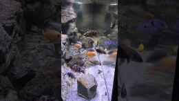 Video Sicht durch die linke Seitenscheibe von Purki (yLo8WQa5Xzc)