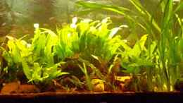 Video 3.8.16 von Hage81 (yPCUCn_NVlk)