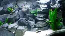 Video Malawihausen von ehemaliger User (yS0NriDEgx0)