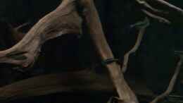 Video Welsbecken 2 von ehemaliger User (yhyrUzXEM8I)