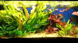 Video Regenbogen von balzman (ylhJMmyTgMg)