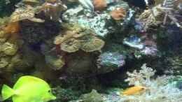 Video Video von Einrichtungsbeispiele.de von ehemaliger User (ym9A6vVvv6U)