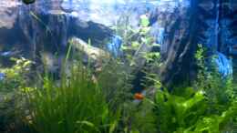 Video Becken am 22.05.2014 von raubsau (ynYQZoB1HyA)