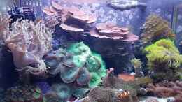 Video Aqua von Artur Wegert (z2RvFq1_Cu8)