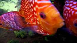 Video Video von Einrichtungsbeispiele.de von ehemaliger User (z7aqzUr1keM)