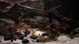 Video Entspannung von NaMo (z7x6SuI_WFk)