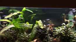 Video 15.10.2020 sie ziehen ihre Bahnen und fühlen sich wohl von herkla (z8g41LSLBdM)