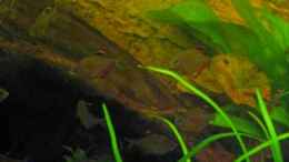 Video ~ Source of Silence ~ von ehemaliger User (zJ7ahONkFqQ)