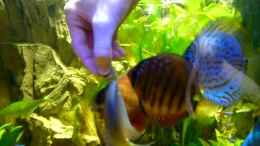 Video Diskus-Freak von Diskus-Freak®aka Benny&Anja (zNVS9KurVP0)