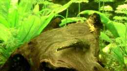 Video Einblick 1 von . (zWeQRA-D-Dk)