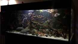 Video Abends von NaMo (zsXr947ApsU)