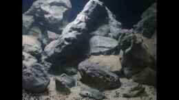 Video Der Malawianer Malawi Tank 2.0 von ehemaliger User (zsysRXnmYpE)