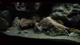 Video Kleiner Eindruck von Charmin (zuRwhXCyb54)