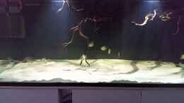 Video Video von einrichtungsbeispiele.de von Bernd N. (zyM7CQuAbc4)