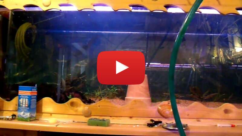 Video -Fo1w_jc-ks abspielen