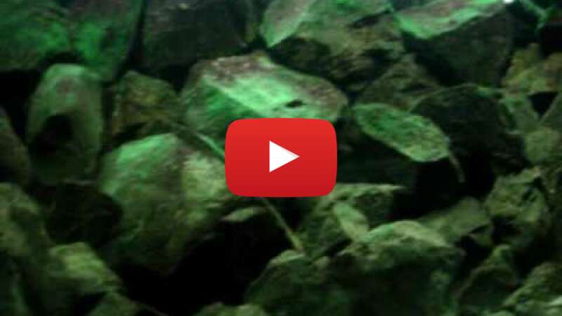 Video -RYnE4owZpk abspielen