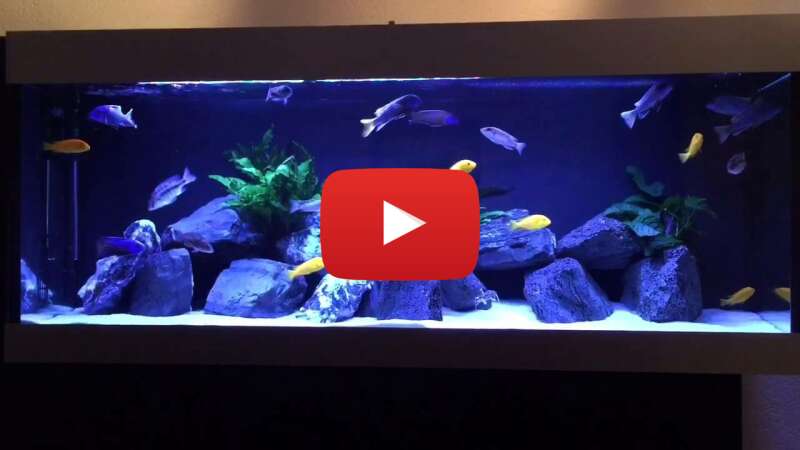 Video -RtZacuG1Dg abspielen