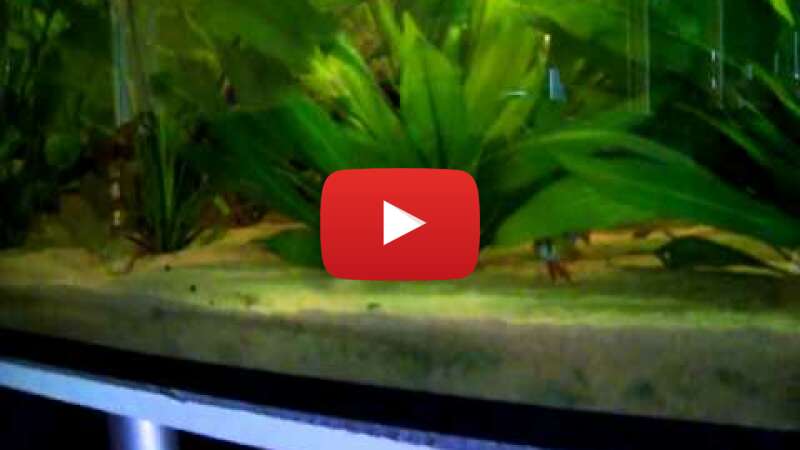 Video -xrYZUiGpvo abspielen