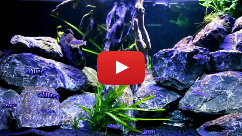 Video 00-uMjd2548 abspielen