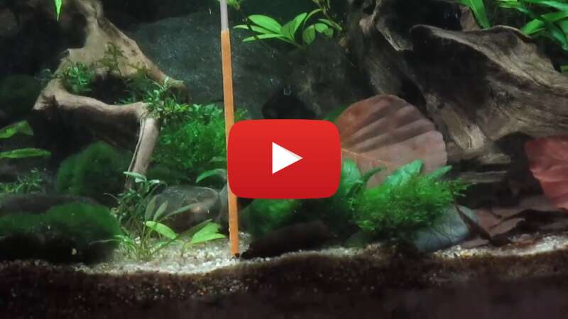 Video 07CDEvN069k abspielen