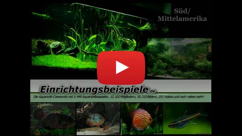 Video 0A6aHQY3thI abspielen