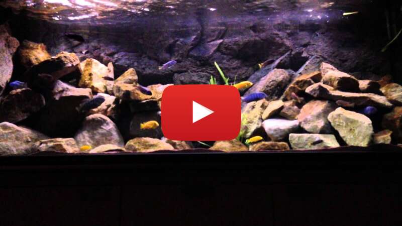 Video 0_glNMRRvRI abspielen