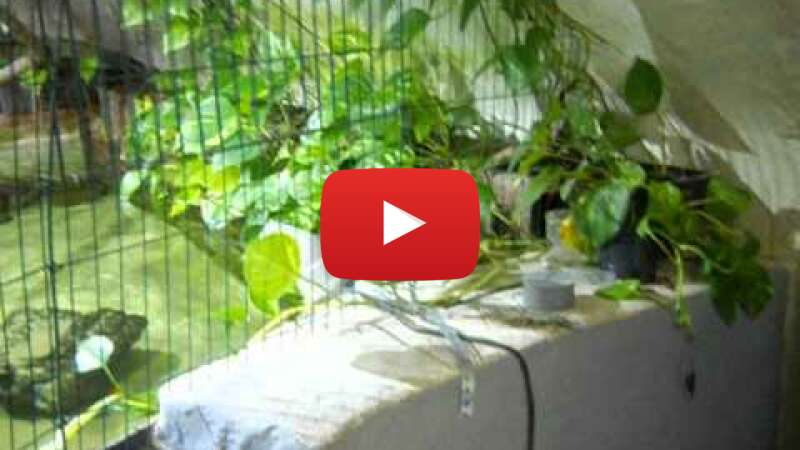 Video 0bbuHQT-rQs abspielen