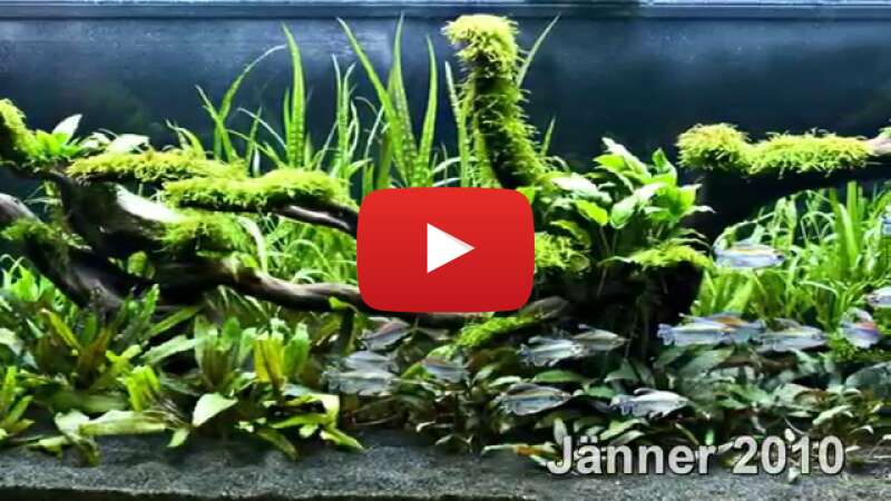 Video 0vSvybpSb0U abspielen