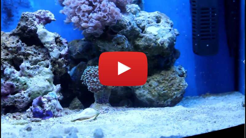 Video 10fnAFjq19I abspielen