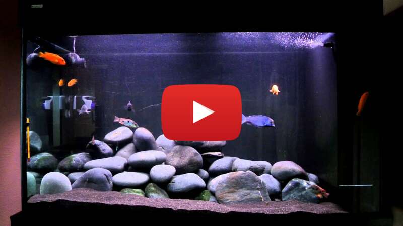 Video 1rVbeaDrMlA abspielen