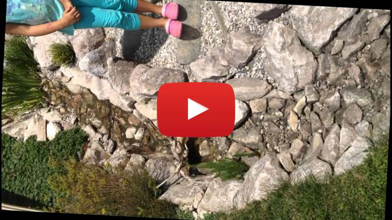 Video 2-pUAhFSL54 abspielen