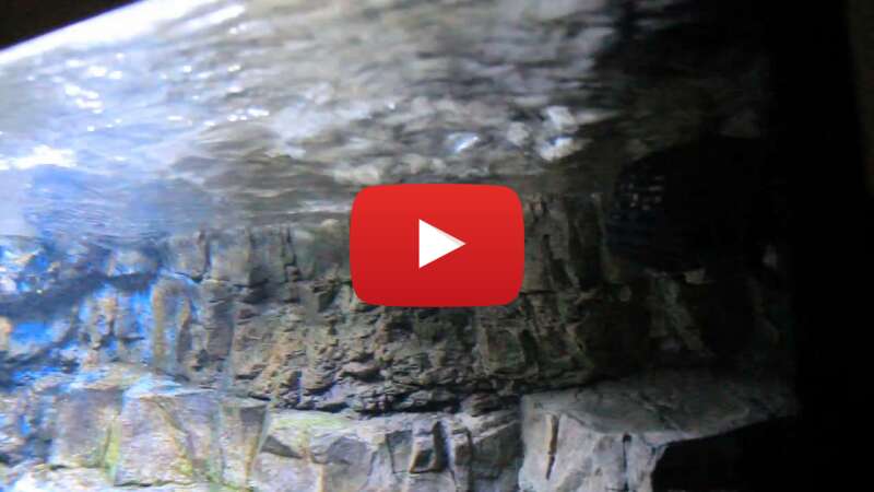 Video 2RrSpzepCmI abspielen