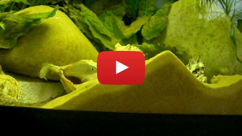 Video 2_D7GeT07UM abspielen