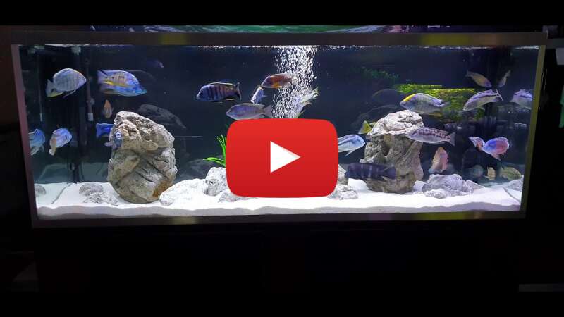 Video 2tb0K79YV0k abspielen