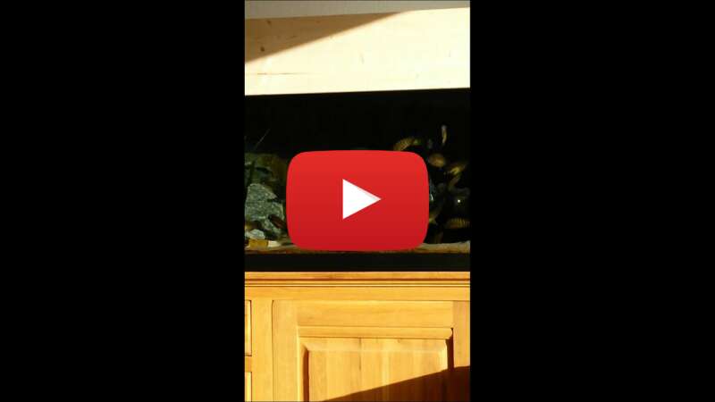 Video 2v6O0RExpTI abspielen