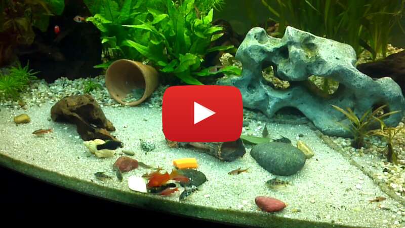 Video 32mVsF5JwnM abspielen