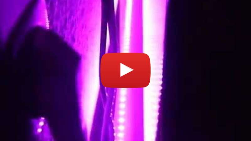 Video 33NIYPjMxoo abspielen