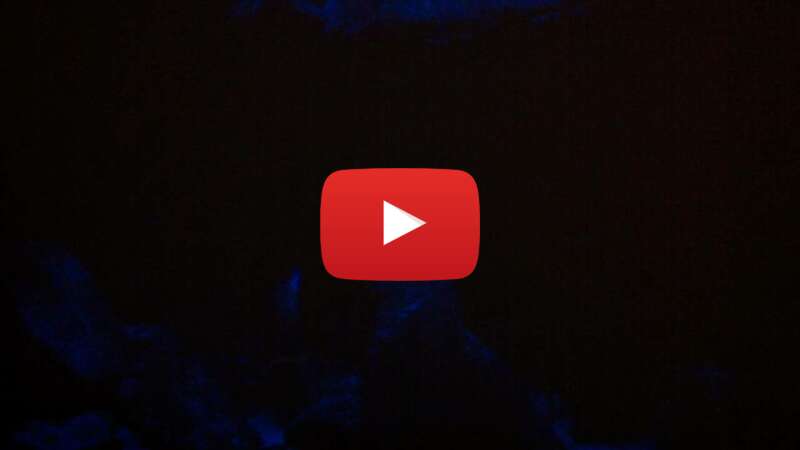 Video 3Er6xPg3CSc abspielen