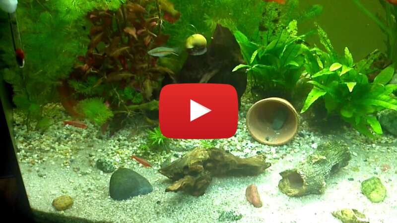 Video 3I8jxJDh6is abspielen