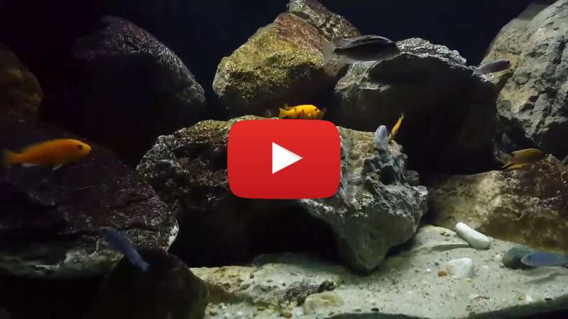 Video 3UAKh_QZsrM abspielen