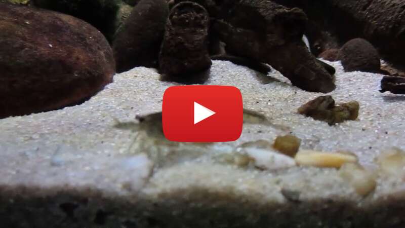 Video 4WXo4wZdZ0k abspielen