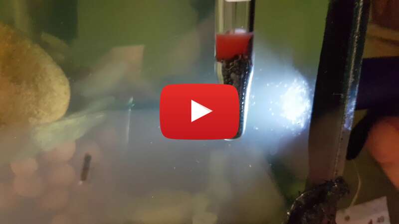 Video 4kUEVxzn3yI abspielen