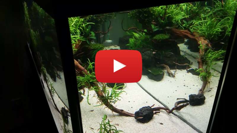 Video 4wq98W7O-pc abspielen