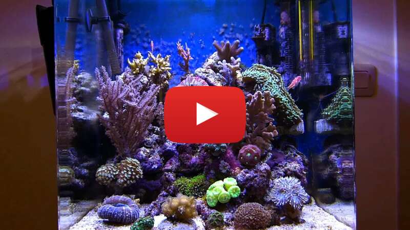 Video 56PgKqdMHEo abspielen