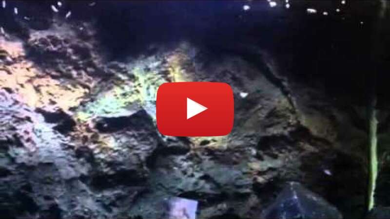 Video 5B6ocwlekWc abspielen