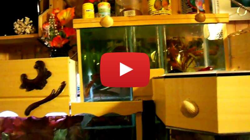 Video 5IrTplyPxp8 abspielen